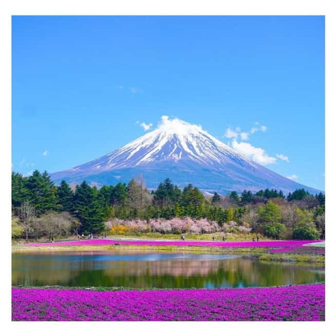 Tokyo: Mt Fuji Private Day Tour By English Driver Low Price - Kitaguchi-hongu Fuji Sengen Shrine: Pilgrims’ Gateway Feel