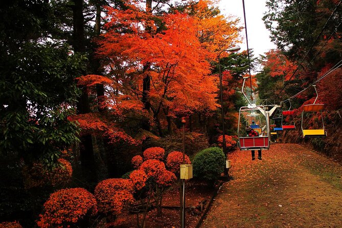 Tokyo: Mt Takao Tour with Ramen and Tattoo-Okay Hot Spring - Key highlights worth planning around