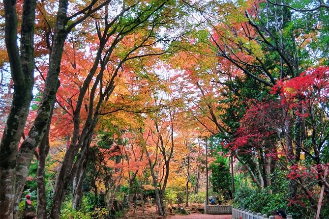 Tokyo: Mt Takao Tour with Ramen and Tattoo-Okay Hot Spring - Finding Jordan at Takaosanguchi Station with the yellow tennis ball