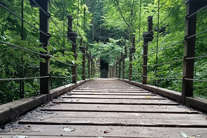 Tokyo: Mt Takao Tour with Ramen and Tattoo-Okay Hot Spring - Price and value: why $120 feels fair for this mix