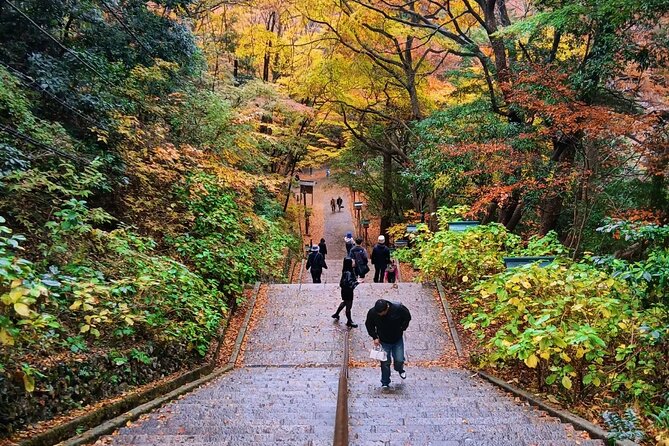 Tokyo: Mt. Takao Tour with Ramen and Tattoo-Okay Hot Spring - The Suspension Bridge on the Way Down: Short, Sweet, and Scenic