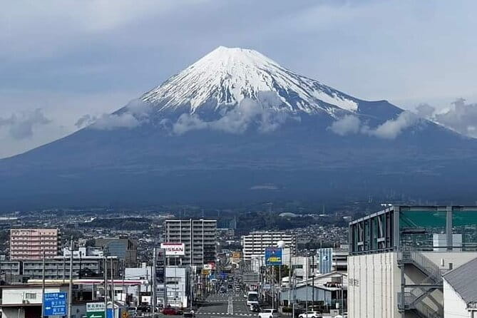 Tokyo Nagano Snow Monkey Park and Zenkoji Temple English driver - Jigokudani Snow Monkey Park: hot spring watching and the real walk in winter