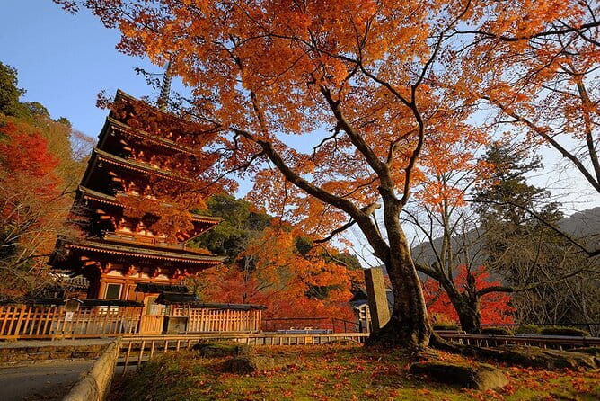 Tokyo Nagano Snow Monkey Park and Zenkoji Temple English driver - Obuse Hokusai country: museums, painted ceilings, and chestnuts