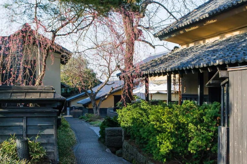 Tokyo: Nagano Snow Monkeys and Zenkoji Tour with Temples - Private transport details that make this day trip feel comfortable