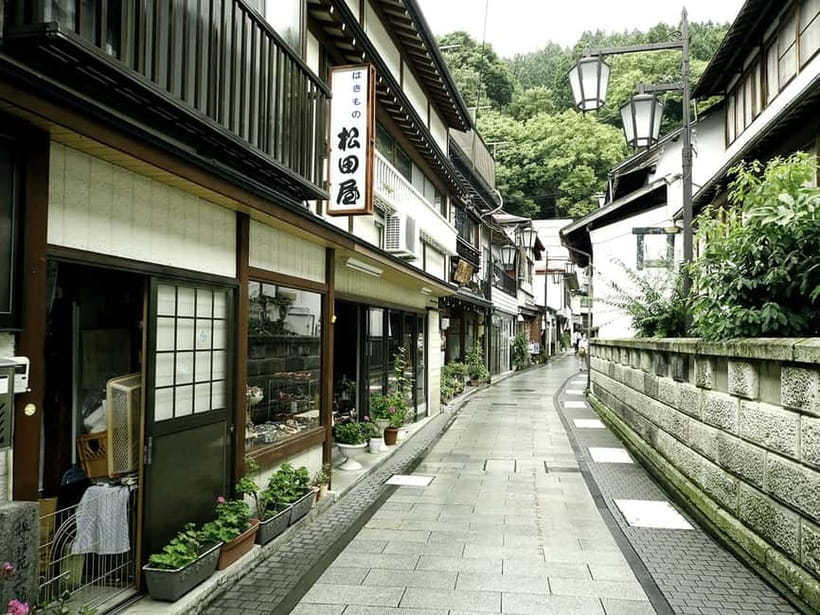 Tokyo: Nagano Snow Monkeys and Zenkoji Tour with Temples - Who this Nagano snow monkeys and Zenko-ji tour fits best