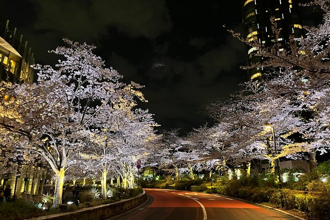 Tokyo Night Bike Tour: From Shibuya to Tokyo Tower via Roppongi - Meeting Near Shibuya: Finding Umayamichi Park Without Panic