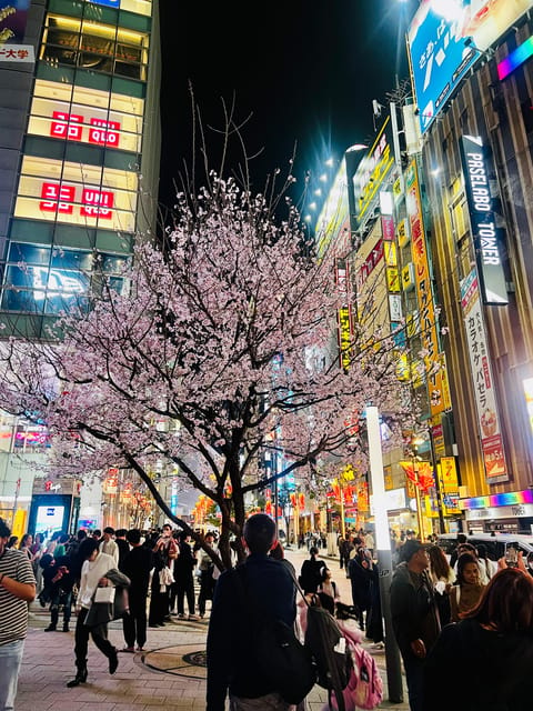 Tokyo Night Drive Wangan Expressway and Daikoku PA - Time to Reset: The Break and Shopping Window