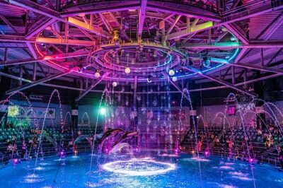 Tokyo Night E-Bike Tour with Tokyo Tower and Dolphin Show - Meeting point and how the tour flows