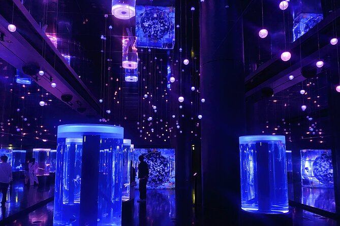 Tokyo Night E-Bike Tour with Tokyo Tower and Dolphin Show - Tokyo Tower Top Deck: the 360° payoff