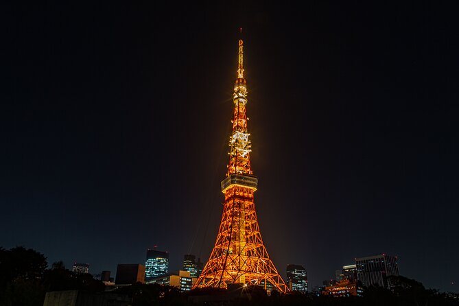 Tokyo Night E-Bike Tour with Tokyo Tower and Dolphin Show - Price and value: is $104.51 a smart deal?