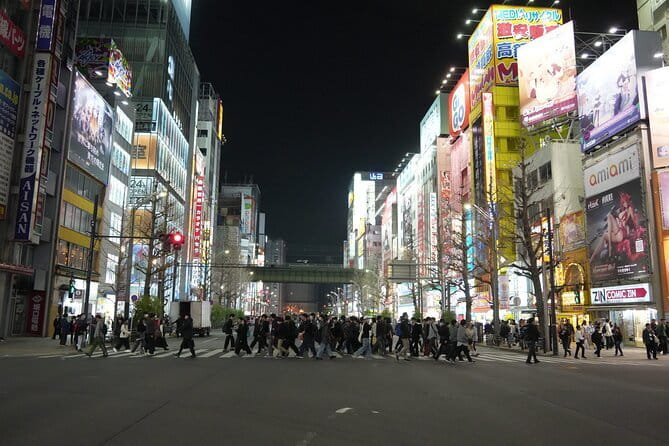 Tokyo Night Tour Akihabara, Shibuya, Karaoke and City Lights - Ueno Park at sunset: an easy warm-up before the neon