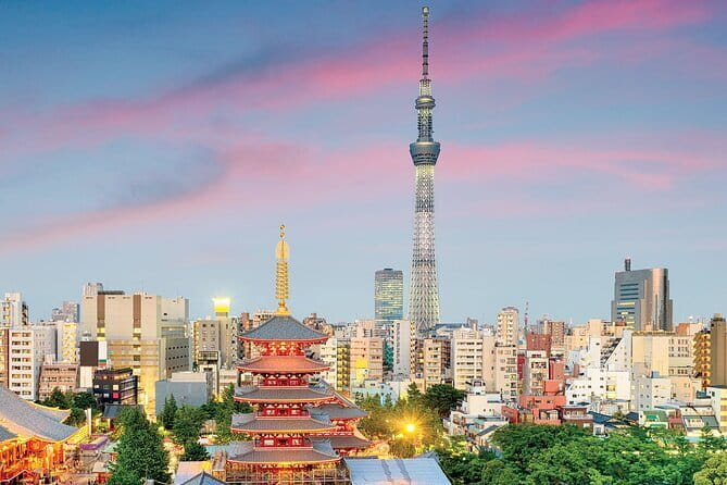 Tokyo Night Tour Customizable - Why a Tokyo night tour works better with a private guide