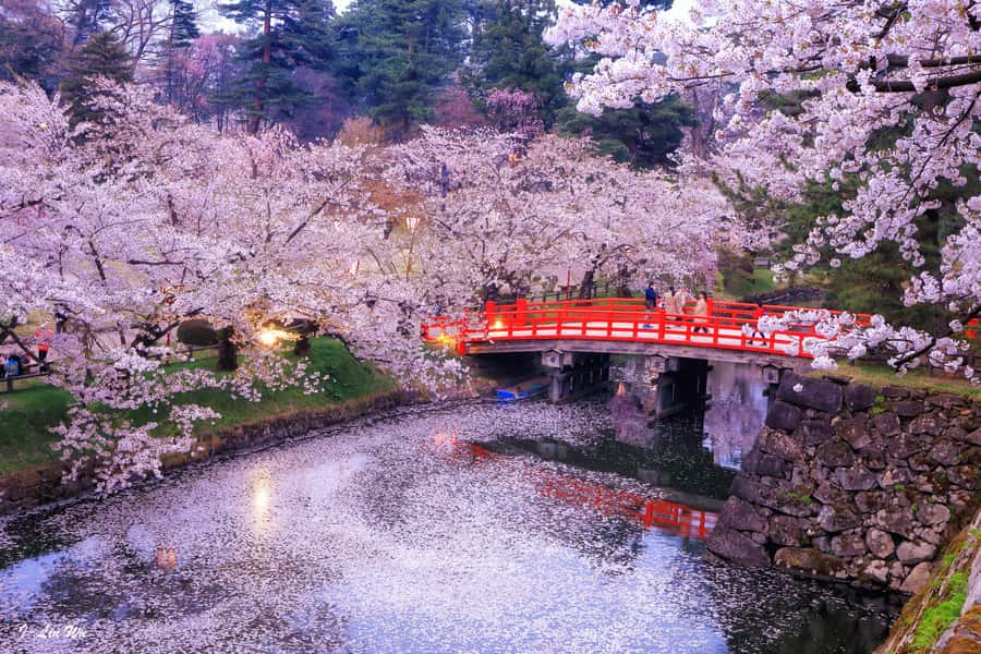 Tokyo: Nikko Day Tour Shrines, Lake Chūzenji & Kegon Falls - UNESCO Nikko Toshogu: the shrine complex where time slows down