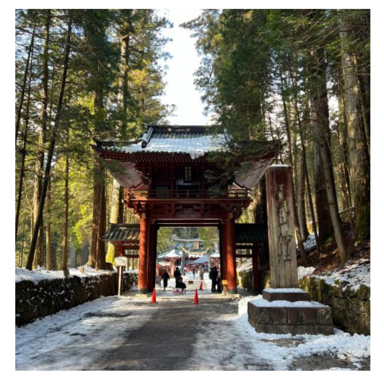 Tokyo: Nikko Day Tour Shrines, Lake Chūzenji & Kegon Falls - Edo Wonderland: samurai and ninja shows plus Edo-period streets