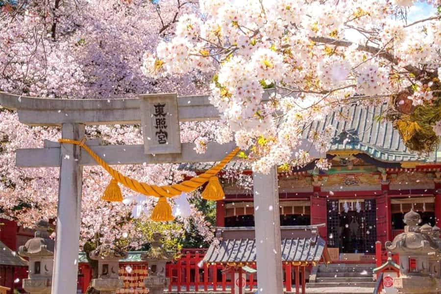 Tokyo: Nikko Day Tour Shrines, Lake Chūzenji & Kegon Falls - Price and logistics: a private 10-hour day built around your group