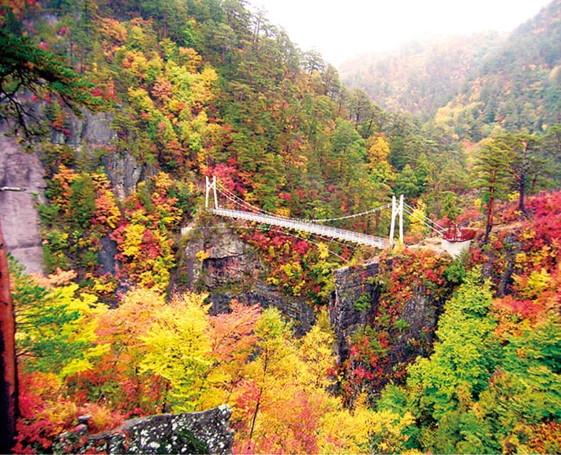 Tokyo: Nikko Day Tour with English Driver and Flexible … - Shinkyo Bridge over the Daiya River: quick, classic, and photogenic