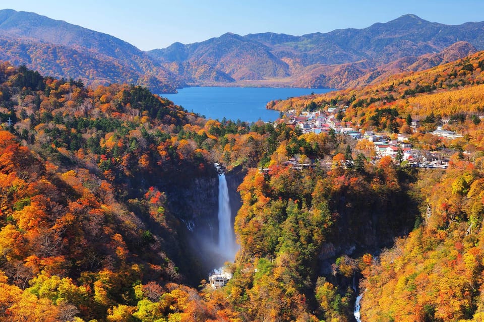 Tokyo: Nikko Day Tour with English Driver and Flexible … - Nikko Toshogu Shrine: intricate architecture that rewards attention