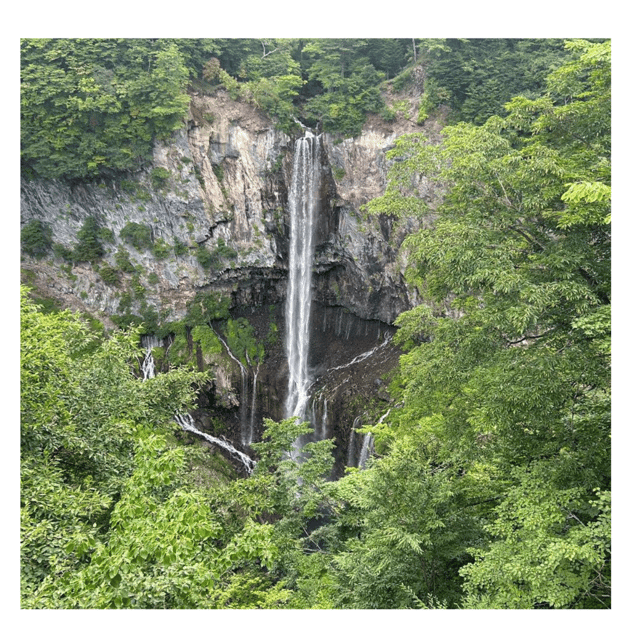 Tokyo: Nikko Kegon Falls Lake Chuzenji Toshogu Temple & More - From Tokyo to Nikko National Park: the big picture