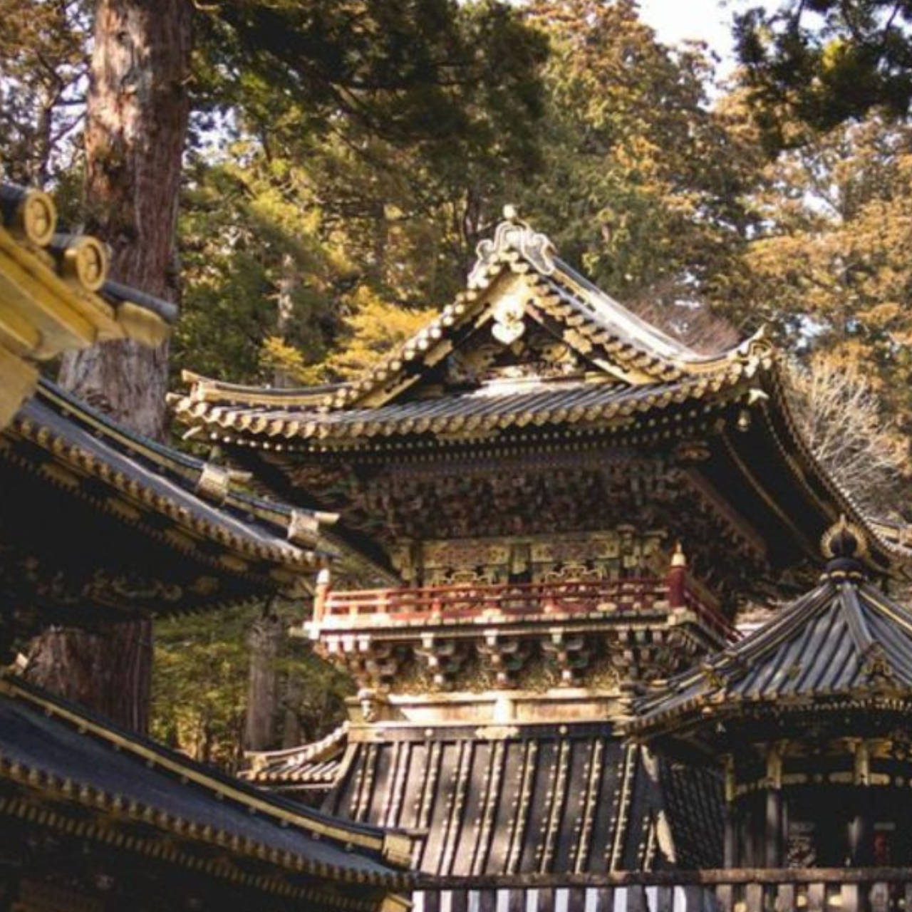 Tokyo: Nikko Kegon Falls Lake Chuzenji Toshogu Temple & More - Narabi Jizo at Kanmangafuchi Abyss: a calm walk you can actually slow down