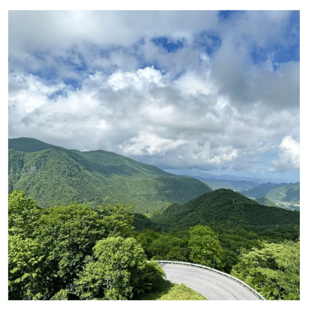 Tokyo: Nikko Kegon Falls Lake Chuzenji Toshogu Temple & More - Price and value: when $361 makes sense