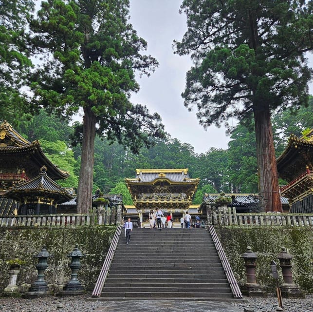 Tokyo: Nikko National Park Private Day Trip with Driver - The rhythm of the itinerary: guided time plus photo breaks