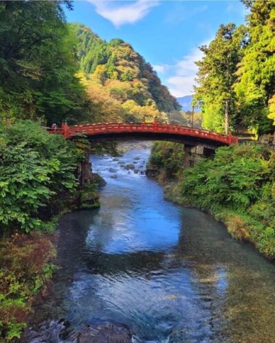 Tokyo: Nikko National Park Private Day Trip with Driver - Pickup and transport: choosing the car or the Hiace van