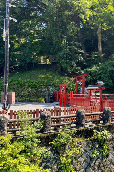 Tokyo: Nikko Private Day Tour - Private van logistics: hotel pickup, timing, and how to make it smooth