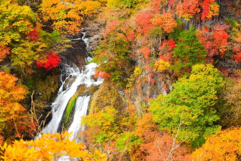Tokyo: Nikko Private Sightseeing Day Trip with Driver - Shinkyo Bridge: Your First Photo Stop on the Daiya River