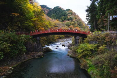 Tokyo: Nikko Private Sightseeing Day Trip with Driver - Getting From Tokyo (or Yokohama) to Nikko Without Stress