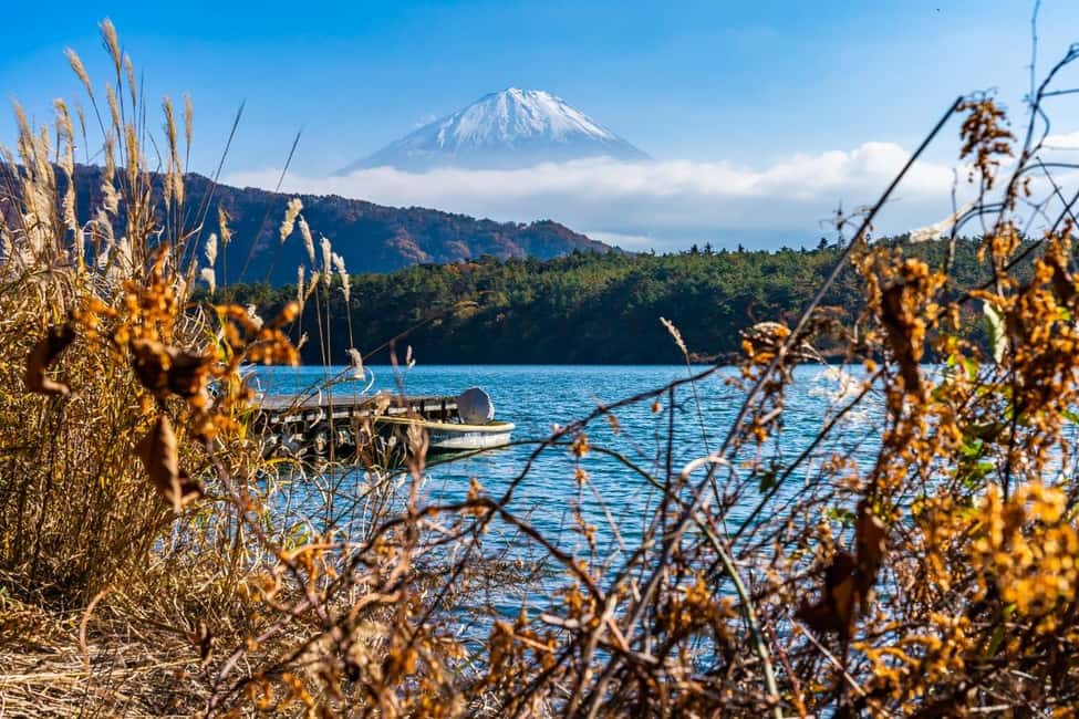 Tokyo: Nikko Trip Toshogu Shrine Kegon Falls & Lake Chuzenji - Lunch in Nikkō: you’ll eat better with a guide’s suggestion