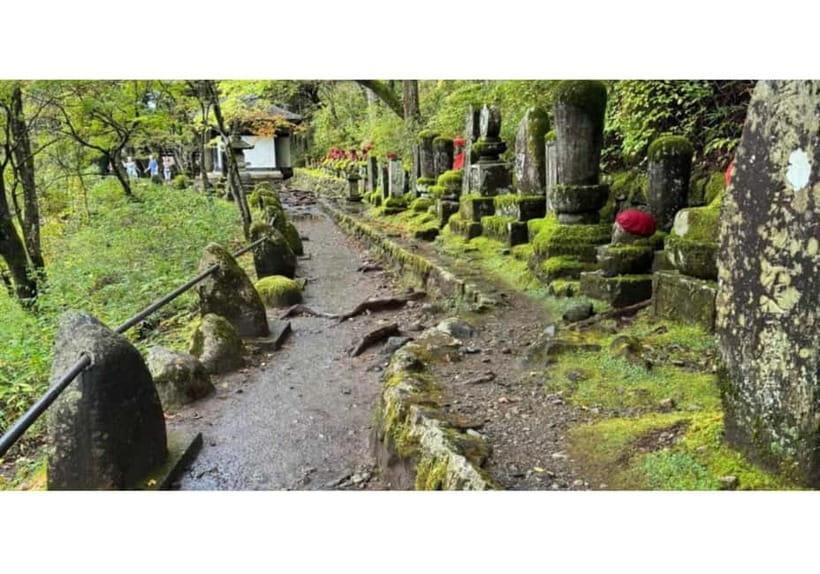 Tokyo: Nikko World Heritage Private Day Trip Hotel Pick-up - English-speaking guidance and why it changes the day
