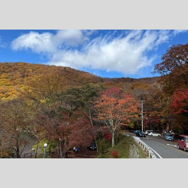Tokyo: Nikko World Heritage Private Day Trip Hotel Pick-up - Private Tokyo to Nikko: what you’re really buying