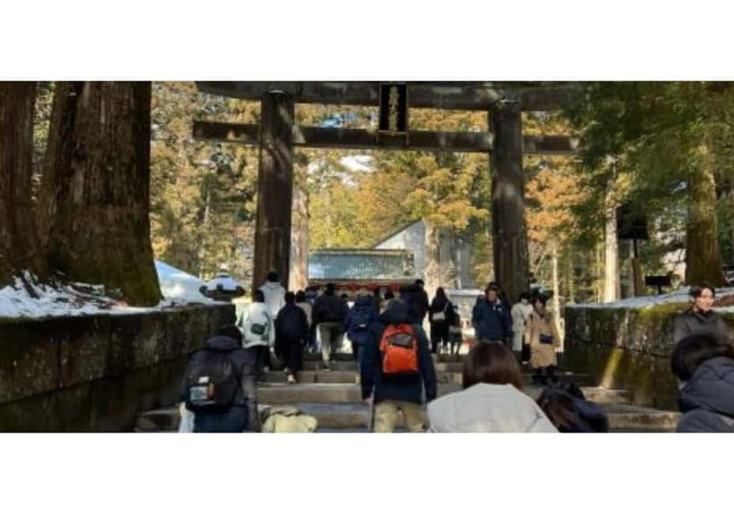 Tokyo: Nikko World Heritage Private Day Trip Hotel Pick-up - Pickup timing and the “long day” reality check