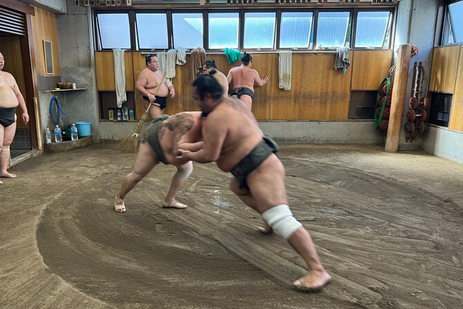 TOKYO , No1 Yokozuna Stable Morning Practice in Ryogoku - Key highlights at a glance