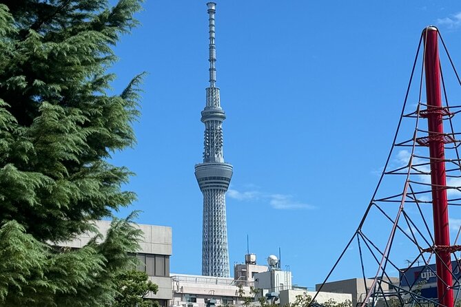 TOKYO , No1 Yokozuna Stable Morning Practice in Ryogoku - Nominosukune Shrine: the sumo deity stop that adds meaning
