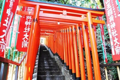 Tokyo Off the Beaten Path 6hr Private Tour with Licensed Guide - Price and Value: What You’re Really Paying For