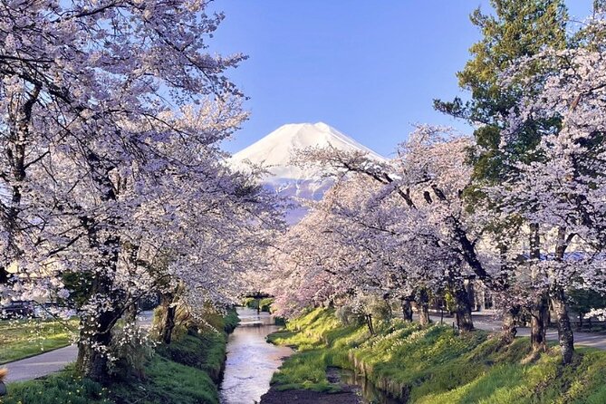 TOKYO OishiPark, Oshino & KoedoKawagoe, Fuji Mount - Oshino Hakkai’s eight spring ponds: water, mythology, and UNESCO status