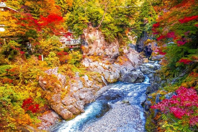 Tokyo Okutama Day Trip Tour - Okutama on the edge of Tokyo: why this day trip hits differently