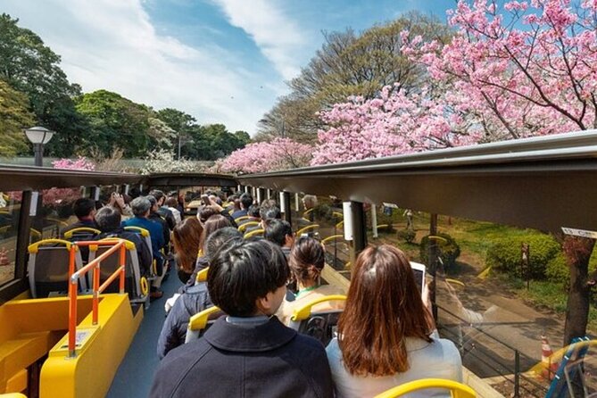 Tokyo: Open Top Sightseeing Bus with Audio Guide - Key things I’d zero in on