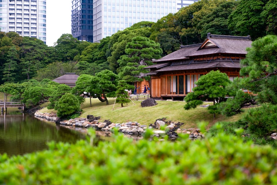 Tokyo: Personalized Private 6-Hour Tour - Pickup, timing, and the reality of walking stairs