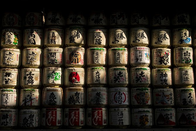 Tokyo Photography Masterclass - Private Photography Lesson - Night options in Tokyo: Shinjuku neon versus Asakusa calm