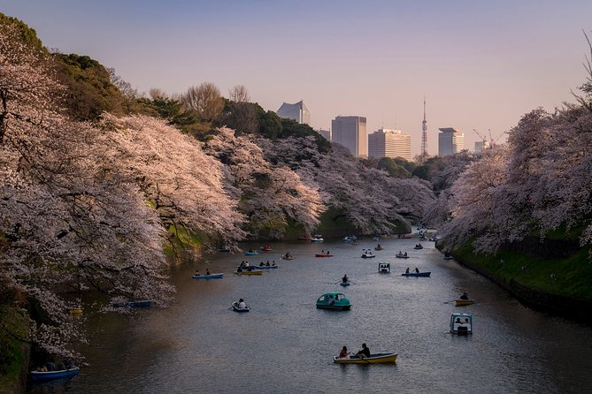 Tokyo Photography Masterclass - Private Photography Lesson - Starting at Hachiko: the perfect place to learn framing fast