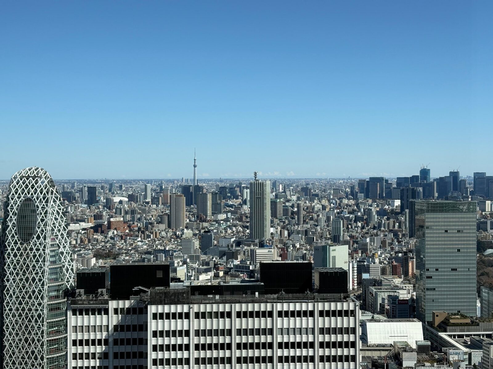 Tokyo: Private 1-Day Sightseeing Tour by Car with Guide - Practical Stuff to Plan For (Shoes, No Smoking, and Food Rules)