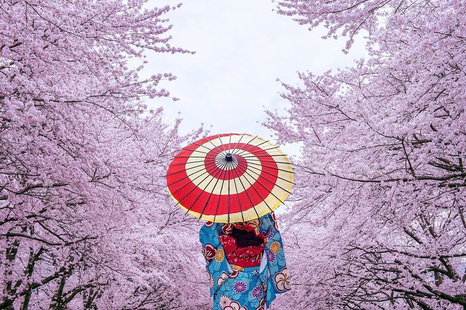Tokyo Private Cherry Blossom Tour with a Local – Picnic Included - Senso-ji Temple: The Big Symbol Meets Springtime