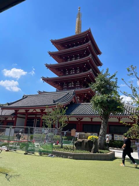 Tokyo: Private City Highlights Tour - Key Points to Know Before You Go