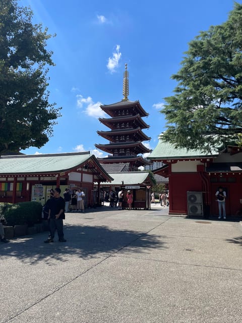 Tokyo: Private City Highlights Tour - Price and Logistics: What $319 Really Buys in Tokyo