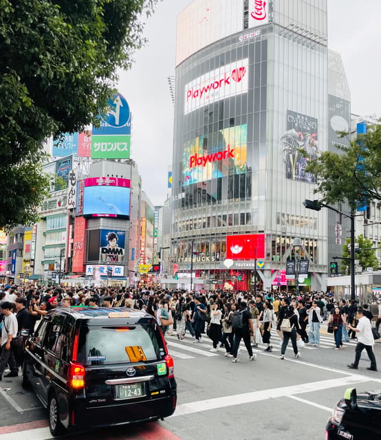 Tokyo: Private City Highlights Tour - Tsukiji Outer Market for Food, Then Takeshita for Fashion