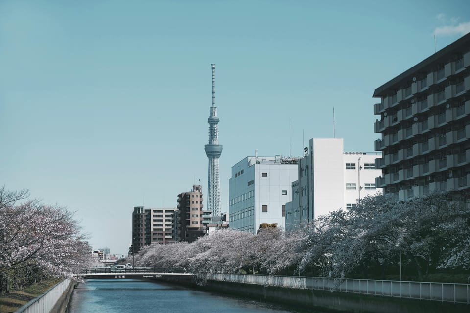Tokyo: Private Customizable City Tour with Chauffeur - Ginza, Takeshita Street, and Omotesando: shopping stops with different personalities