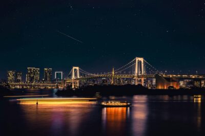 Tokyo: Private Customizable City Tour with Chauffeur - Imperial Palace area, Skytree, and Tokyo Tower: the skyline sequence