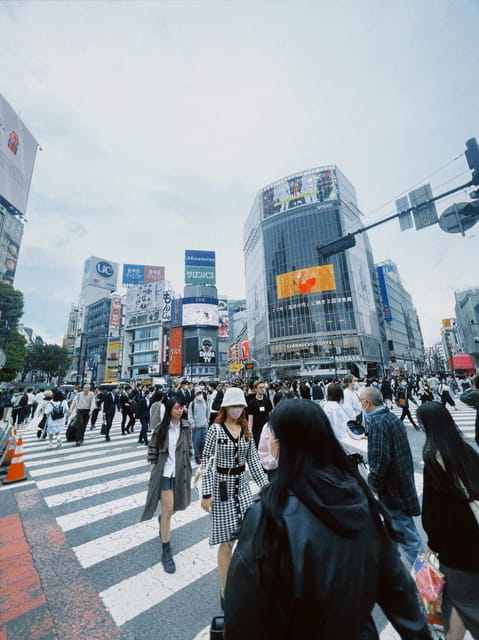 Tokyo: Private Customizable City Tour with Chauffeur - Meiji Shrine and Odaiba: a calmer Tokyo break before the big crowds